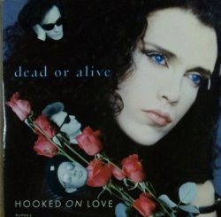 画像1: Dead Or Alive ‎/ Hooked On Love  (7inch) ラスト