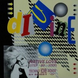 画像1: Divine ‎/ Native Love (Techno Bomb Remix)  残少 未 B4026