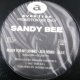 $ Sandy Bee / Ready For My Loving (AVJS-1039)   YYY196-2954-4-4