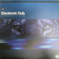 画像1: $ Electronic Dub / Electronic Dub (RSN LP 21) 2LP (RSN LP21) YYY186-2819-4-5 後程済