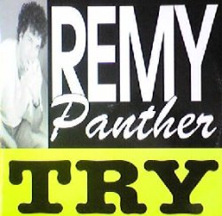 画像1: $ REMY PANTHER / TRY (HRG 105) スレ EEE10+ 後程済
