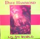 $ DAVE HAMMOND / ALL MY WORLD (TRD 1268) EEE1+