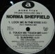 $ Norma Sheffield / Look Me In The Eyes (Remix) Touch Me Touch Me (AVJS-1054) YYY293-3669-10-27 後程済