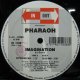 $ PHARAOH / IMAGINATION (IN 1038) Y3+