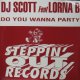 DJ SCOTT / DO YOU WANNA PARTY (DAS03)  原修正