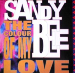 画像1: $ SANDY BEE / THE COLOUR OF MY LOVE (TRD 1224) EEE20 2&4F