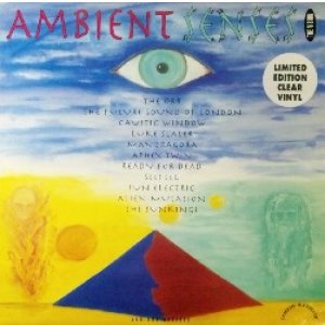 画像: $ Various / Ambient Senses - The Vision (LP TOT 12) 2LP (LP TOT12) 未 YYY196-2950-5-14