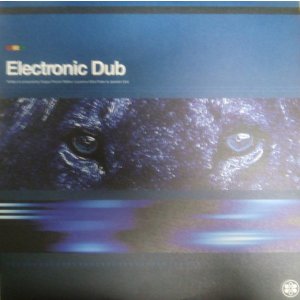画像: $ Electronic Dub / Electronic Dub (RSN LP 21) 2LP (RSN LP21) YYY186-2819-4-5 後程済