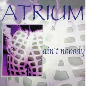 画像: $ ATRIUM / AIN'T NOBODY (TRD 1290) 折 EEE12