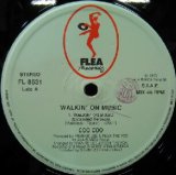 画像: $ COO COO / WALKIN' ON MUSIC (FL 8531) 反り EEE14 後程済