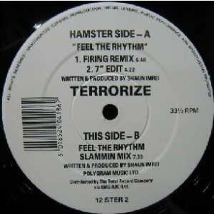画像: TERRORIZE / FEEL THE RHYTHM