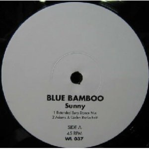 画像: $ BLUE BAMBOO / SUNNY (WL 037) Y20+