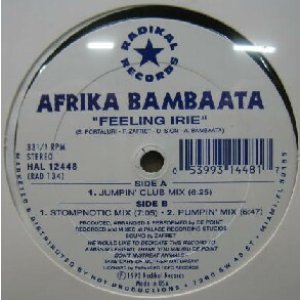 画像: AFRIKA BAMBAATA / FEELING IRIE (US)