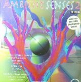 画像: $ Various / Ambient Senses 2 (The Feeling) UK (LP TOT 16) 2LP (LP TOT16) 最終 未 Y2 在庫未確認