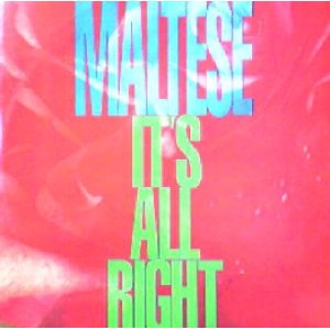 画像: $ MALTESE / IT'S ALL RIGHT (TRD 1179) EEE10 後程済