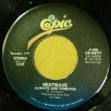 画像: Heatwave / Boogie Nights (7inch)