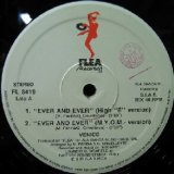 画像: $ VENICE / EVER AND EVER (FL 8419) EVER & EVER