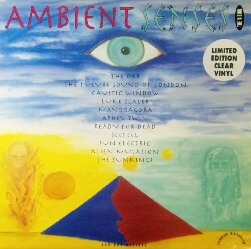 画像1: $ Various / Ambient Senses - The Vision (LP TOT 12) 2LP (LP TOT12) 未 YYY196-2950-5-14