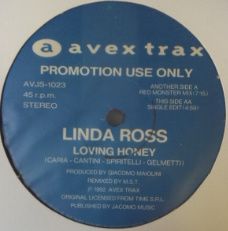 画像1: $ Linda Ross / Loving Honey (AVJS-1023) Remix 新品シールド Y9