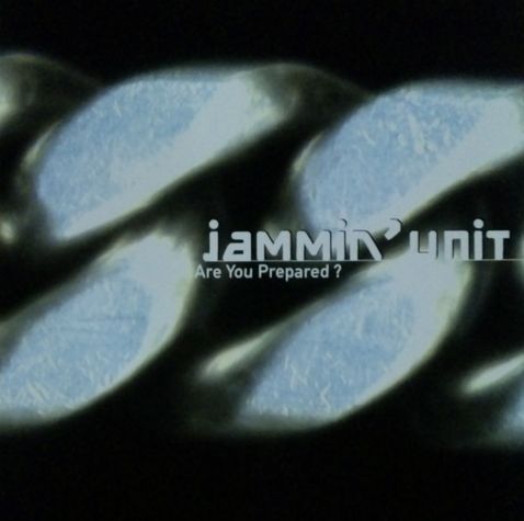 画像1: Jammin' Unit ‎/ Are You Prepared?  (2LP) ラスト B4096 未