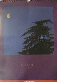 画像1: %% JULIANA'S TOKYO - 1994 CALENDAR　( ジュリアナ東京 1994 カレンダー ) YN17　後程済