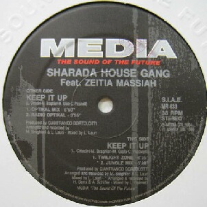 画像1: SHARADA HOUSE GANG / KEEP IT UP (MR)  原修正